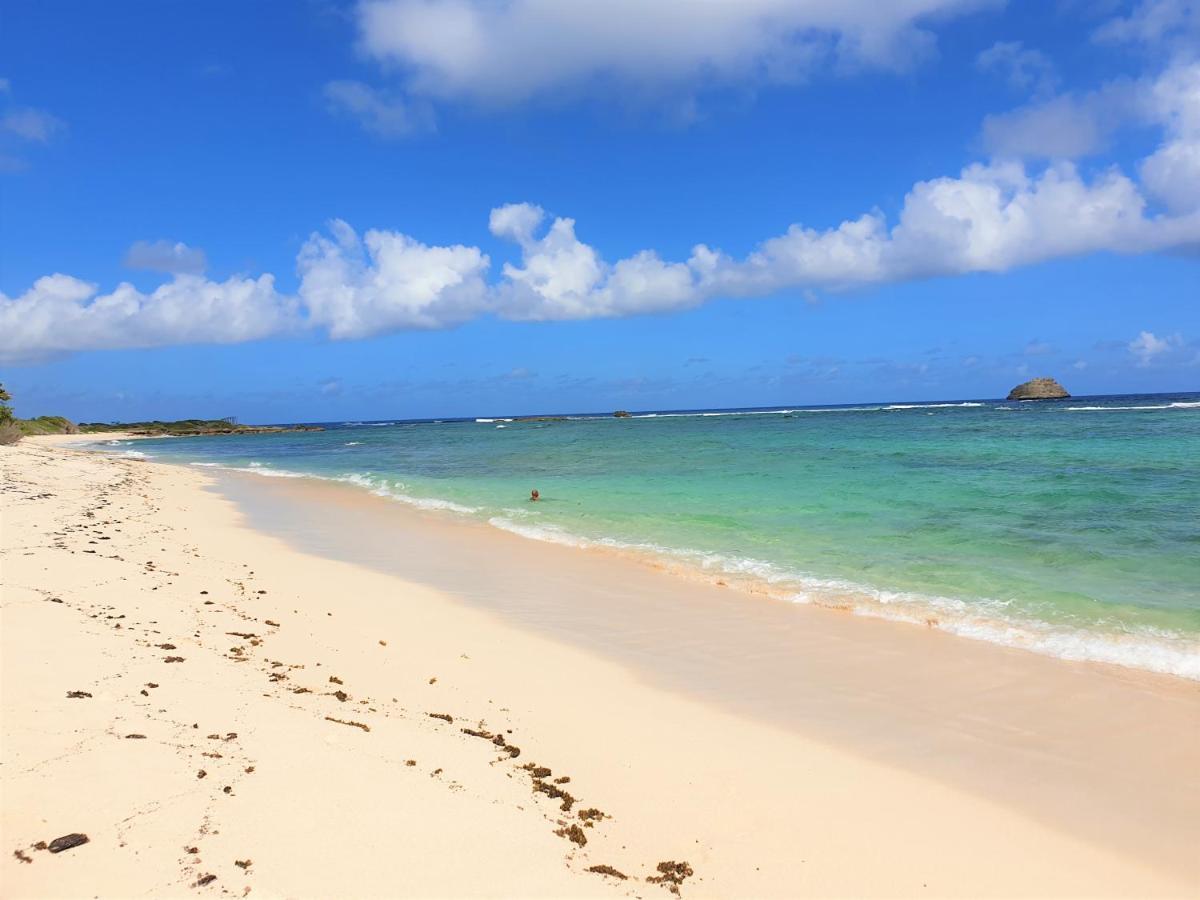 Villa Guadeloupe Saint Francois Acces Mer Piscine Iguana Bay - Villa Zagadi ภายนอก รูปภาพ