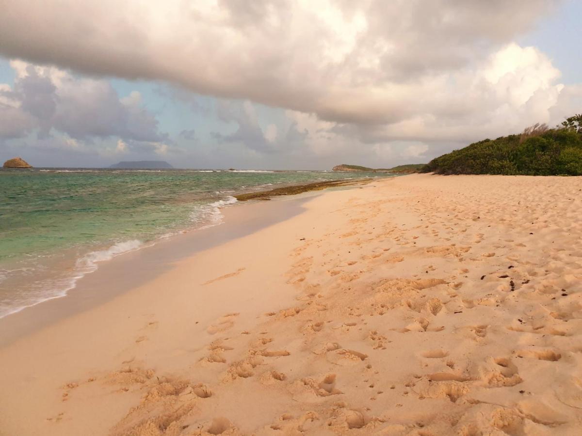 Villa Guadeloupe Saint Francois Acces Mer Piscine Iguana Bay - Villa Zagadi ภายนอก รูปภาพ