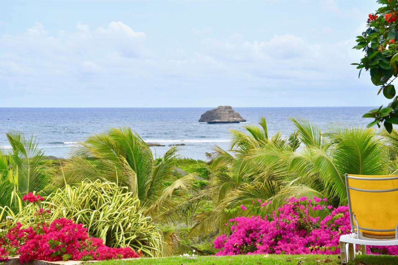 Villa Guadeloupe Saint Francois Acces Mer Piscine Iguana Bay - Villa Zagadi ภายนอก รูปภาพ