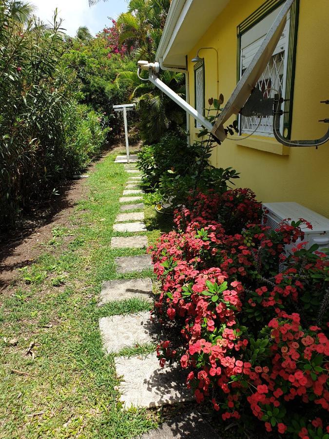 Villa Guadeloupe Saint Francois Acces Mer Piscine Iguana Bay - Villa Zagadi ภายนอก รูปภาพ