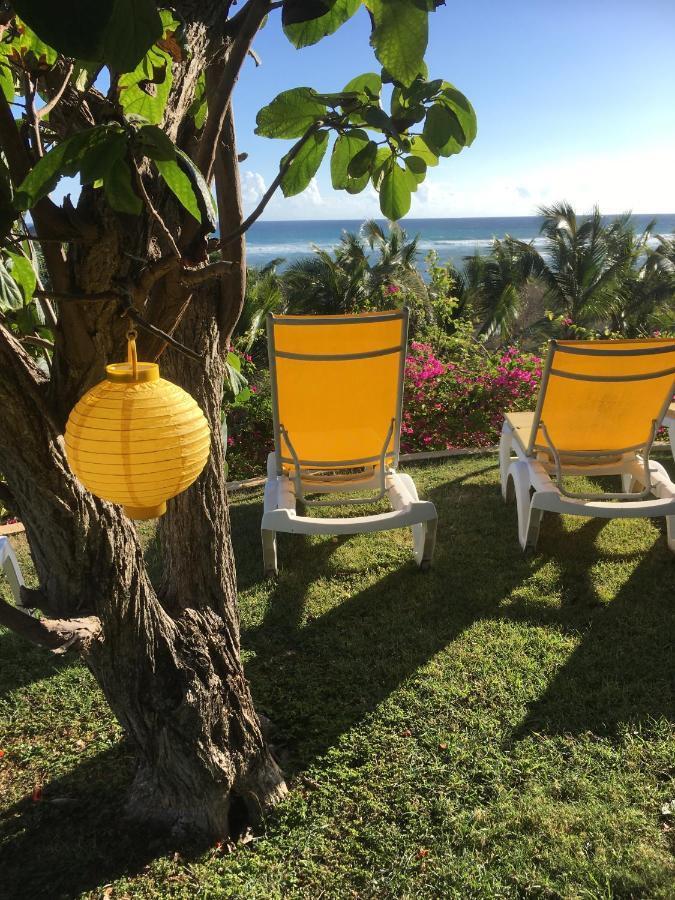 Villa Guadeloupe Saint Francois Acces Mer Piscine Iguana Bay - Villa Zagadi ภายนอก รูปภาพ