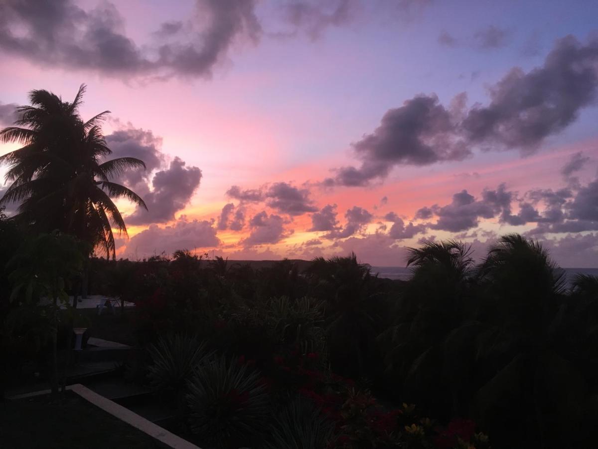 Villa Guadeloupe Saint Francois Acces Mer Piscine Iguana Bay - Villa Zagadi ภายนอก รูปภาพ